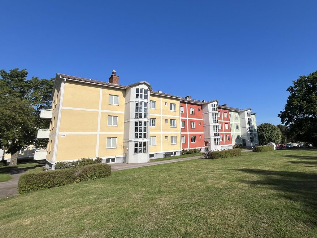 Fårtickan 1