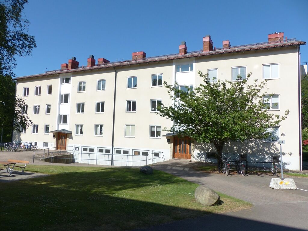 Herden 1