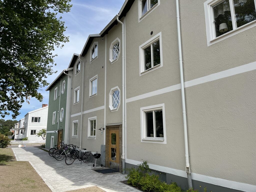 Termiten 13