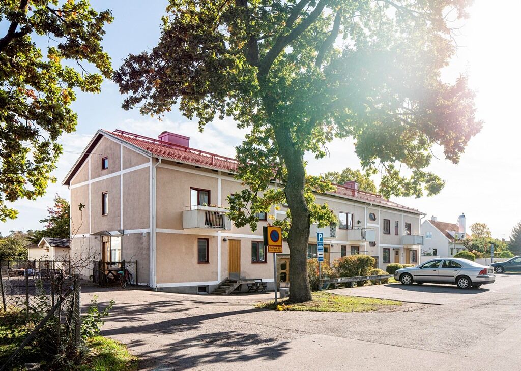Termiten 18