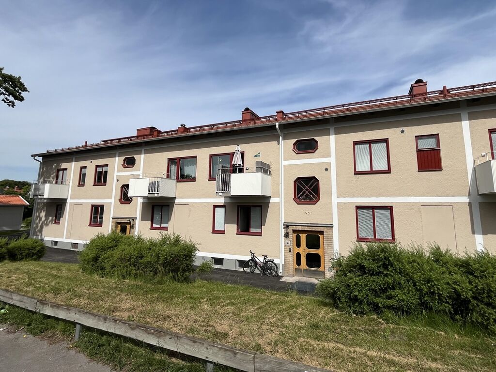 Termiten 18