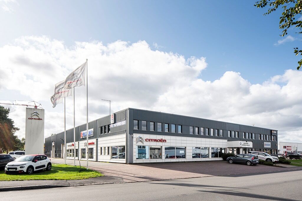 Ädelkorallen 6